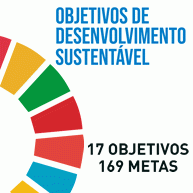 Imagem da identidade visual definida para os ODS